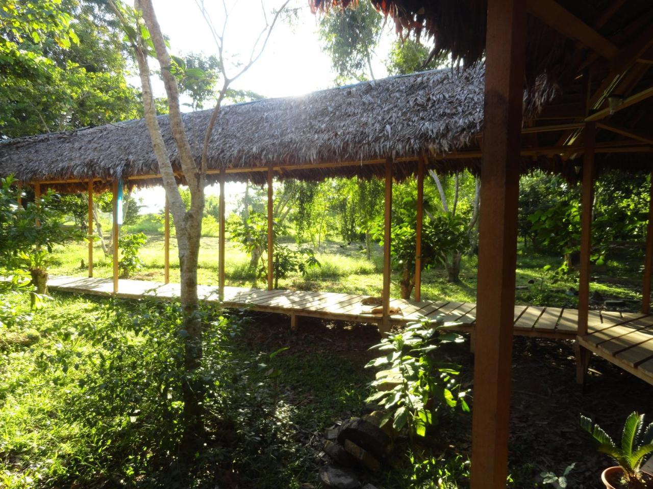 Sotupa Eco House Pansiyon Puerto Maldonado Dış mekan fotoğraf