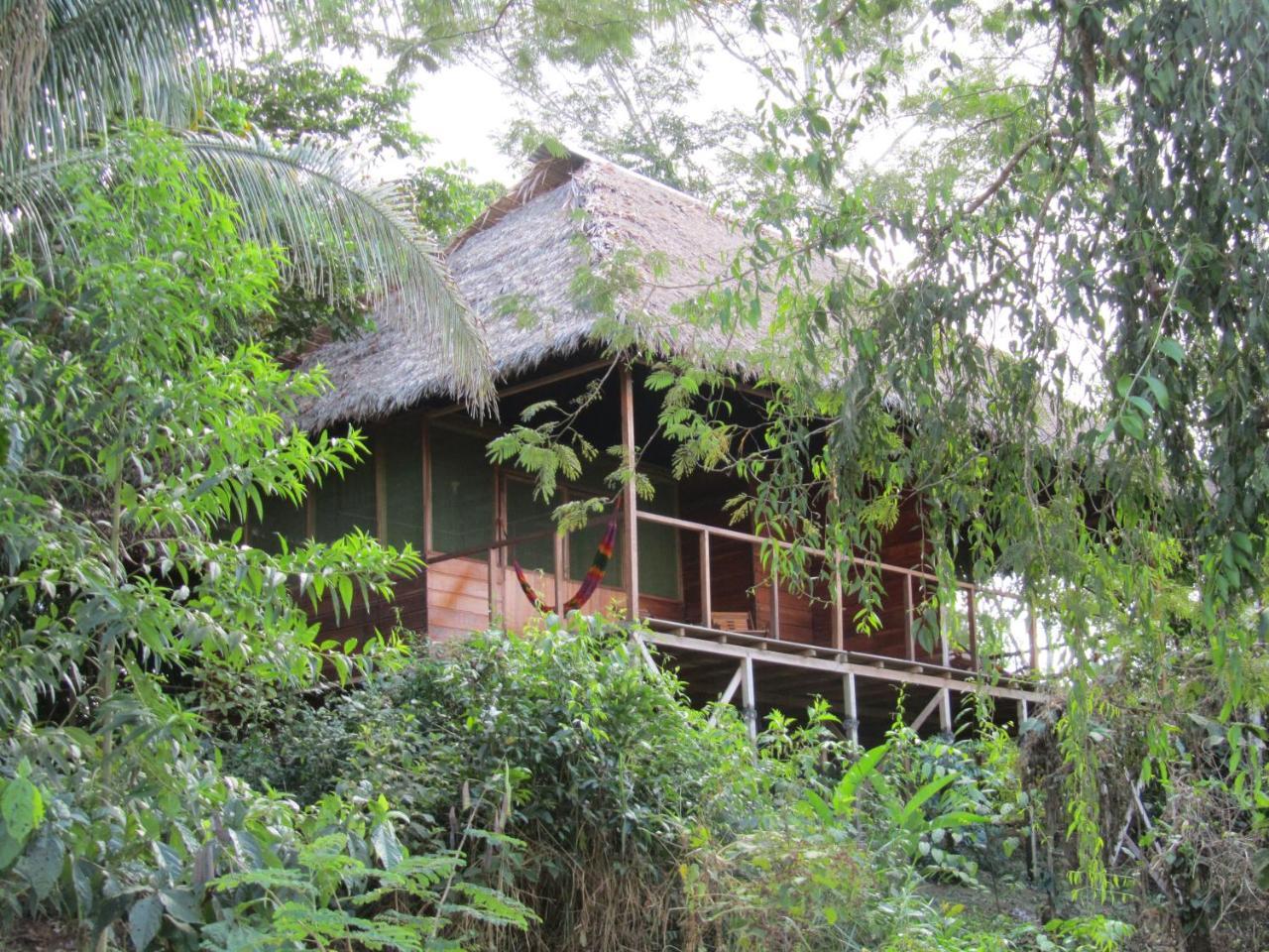Sotupa Eco House Pansiyon Puerto Maldonado Dış mekan fotoğraf